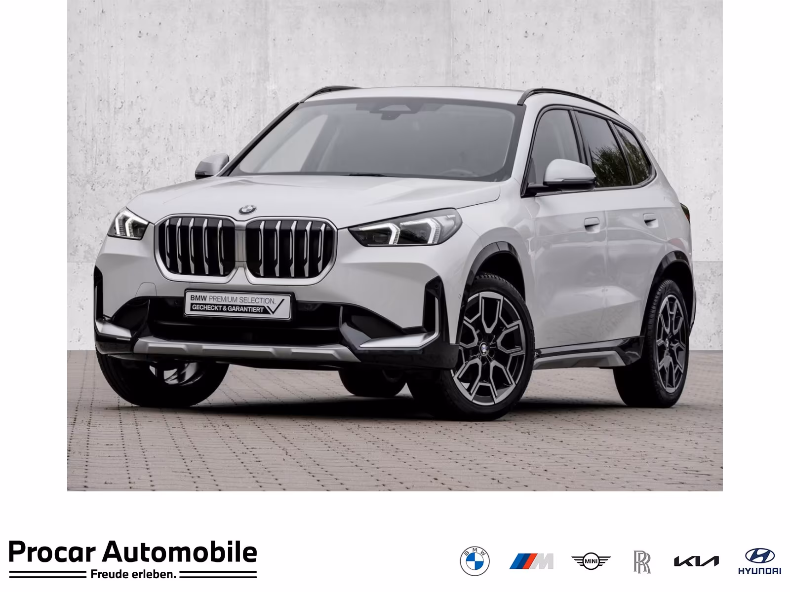 BMW X1 sDrive18i xLine AHK RFK NAVI LED PDC V+H LM