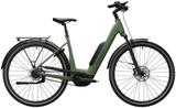 Advanced TOUR Plus / Basil Green 50cm - M - Advanced E-Bikes