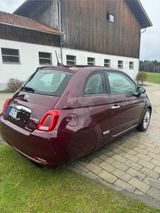 Fiat 500 Ellenator, fahren ab 16 Jahren - Fiat 500 aus 2021