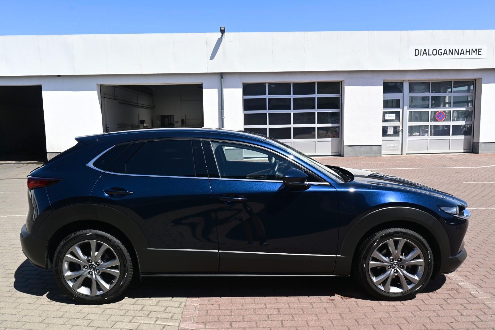 Mazda CX-30 Takumi *ACC*360*HUD*LEDER*LED*BOSE*ALLWETT