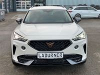 Cupra 