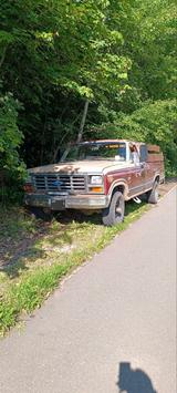 Ford F150 Gen 7 "Bullnose" - Ford F 150: For