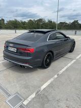Audi S5 3.0 TFSI tiptronic quattro - Coupe Voll - Audi S5 mit Benzin-Antrieb: Leder, Sportwagen