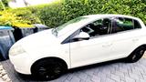 Fiat Bravo 1.9 Multijet - Fiat Bravo mit Diesel-Antrieb: 1.9