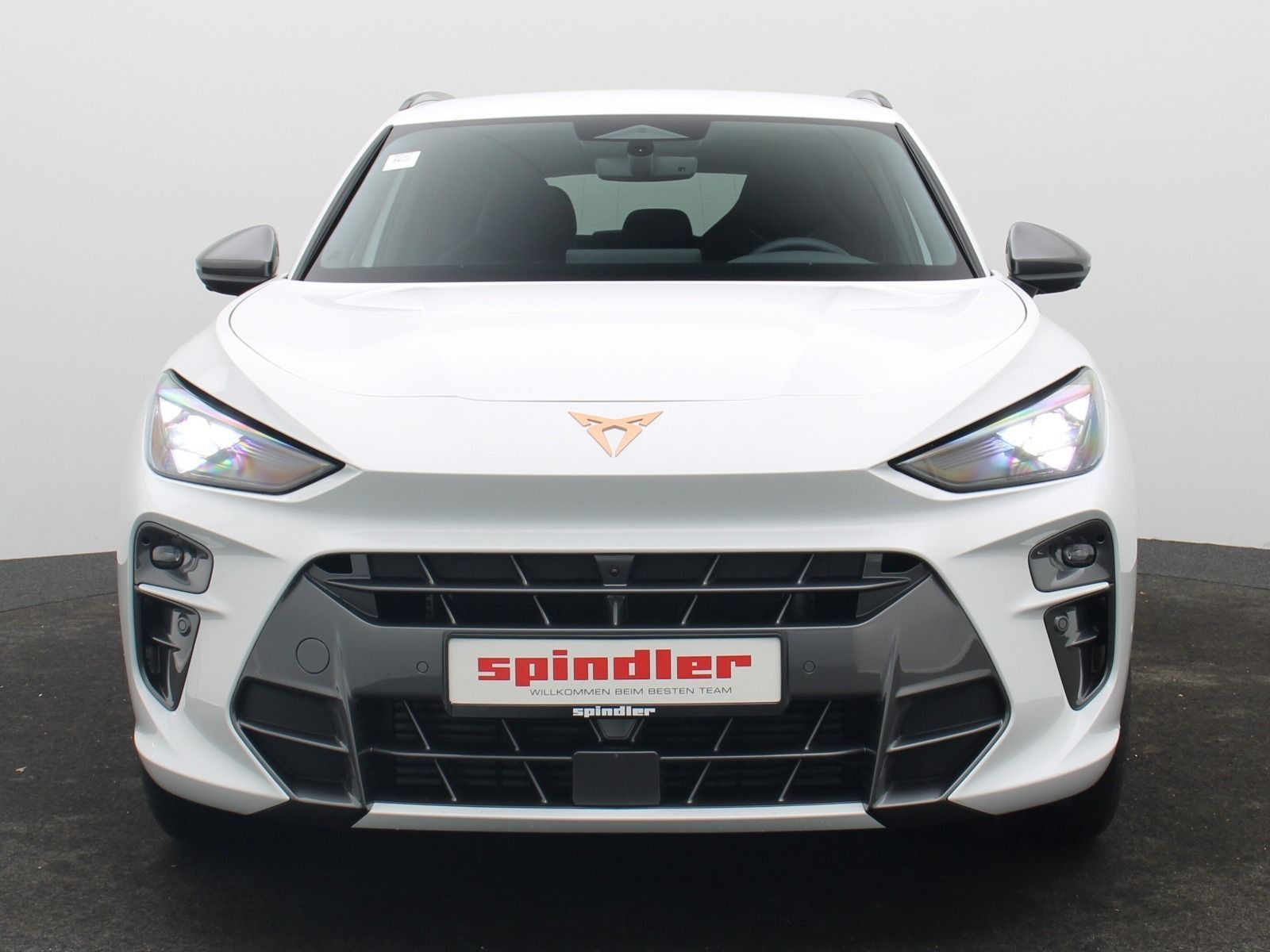 Cupra Terramar - Bild 3