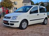 Fiat Panda 1.2 8V DynamicTÜV NEU+Garantie+Automatik - Fiat Panda: Dynamic
