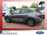 Ford Kuga 2.0EB ST-Line X 4X4*LED*iACC*Navi*2x Kamera - Ford Kuga Jahreswagen