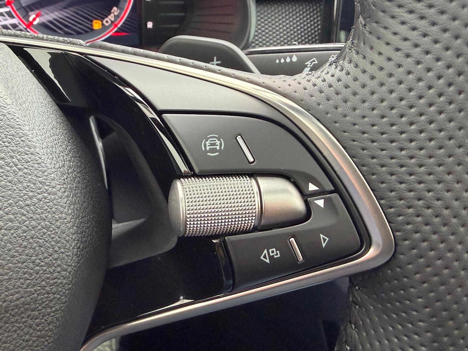 Skoda Kamiq 1.0 TSI DSG Monte Carlo (Pano,AHK,5/100)
