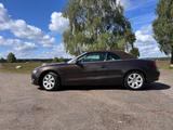 Audi A5 2.0 TDI Cabrio in traumhafter Farbkombi - Audi A5: Braun, Cabrio