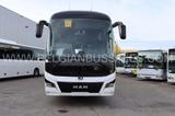 MAN Lion's Coach R08 / 13.8m / - MAN 13