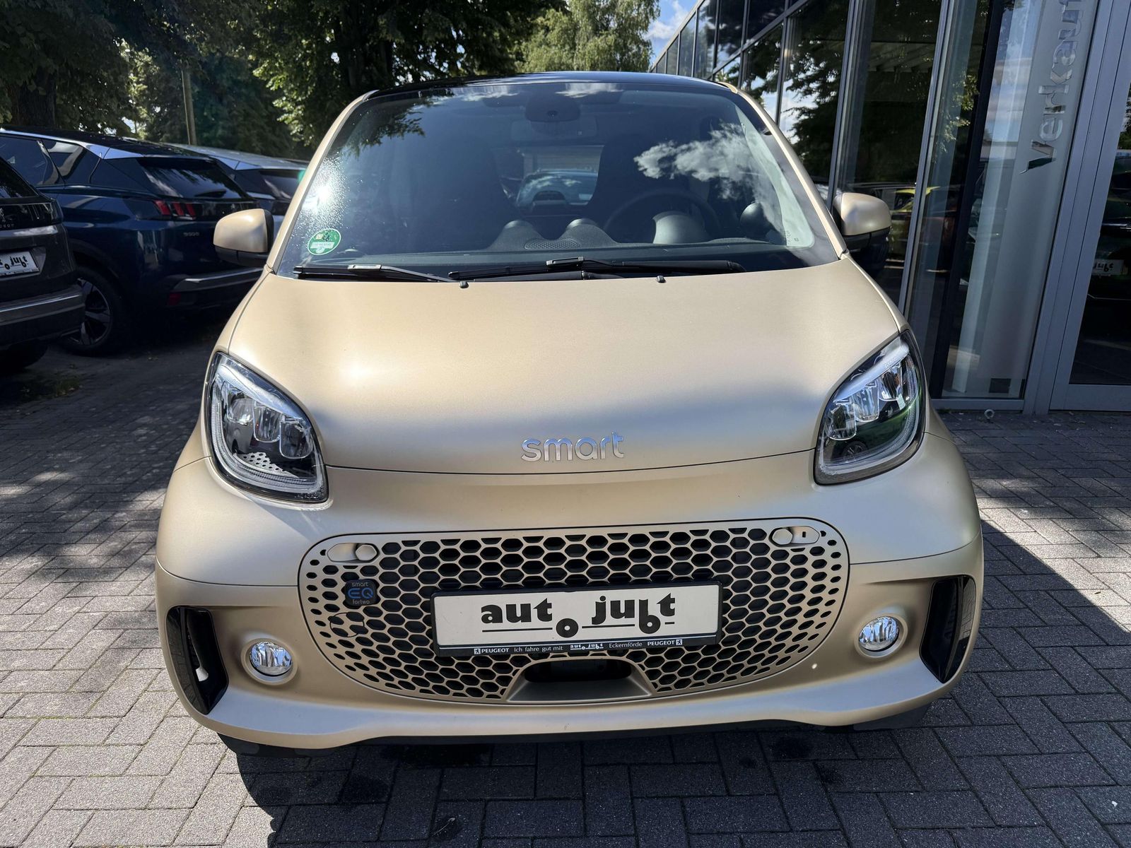 Smart forTwo edition greenflash JBL LEDER ALU MATT imagem 2