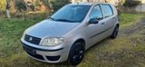 Fiat Punto 1.2 8V - - Fiat Punto aus 2004: 1.2