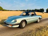 Alfa Romeo  Spider Typ 115 - gebrauchte Alfa Romeo Spider aus dem Jahr 1983