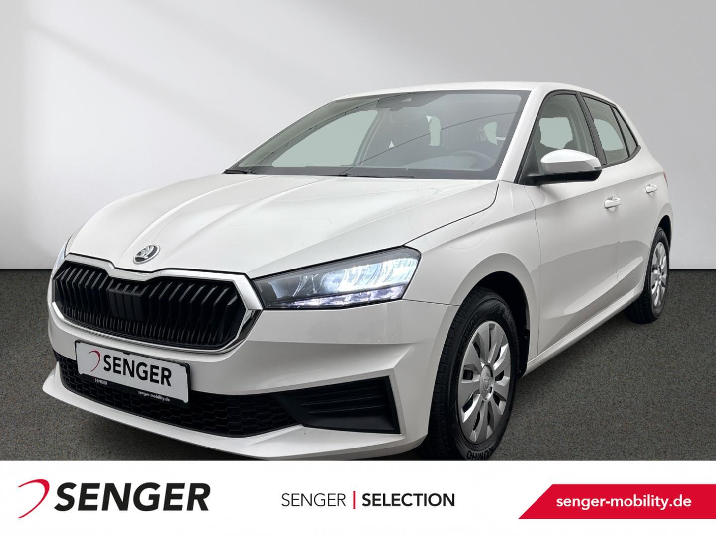 Skoda Fabia Active 1.0 MPI Winter-Paket Smart Link LED