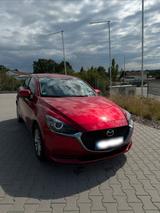 Mazda 2 - Zuverlässiger Kleinwagen - 4,9l/... - : Kleinwagen, Zuverlässige