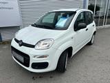 Fiat Panda/Pandina Panda 1.2 Easy - Fiat Panda: Pandina