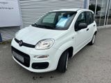 Fiat Panda/Pandina Panda 1.2 Easy - Fiat Panda: Kombi