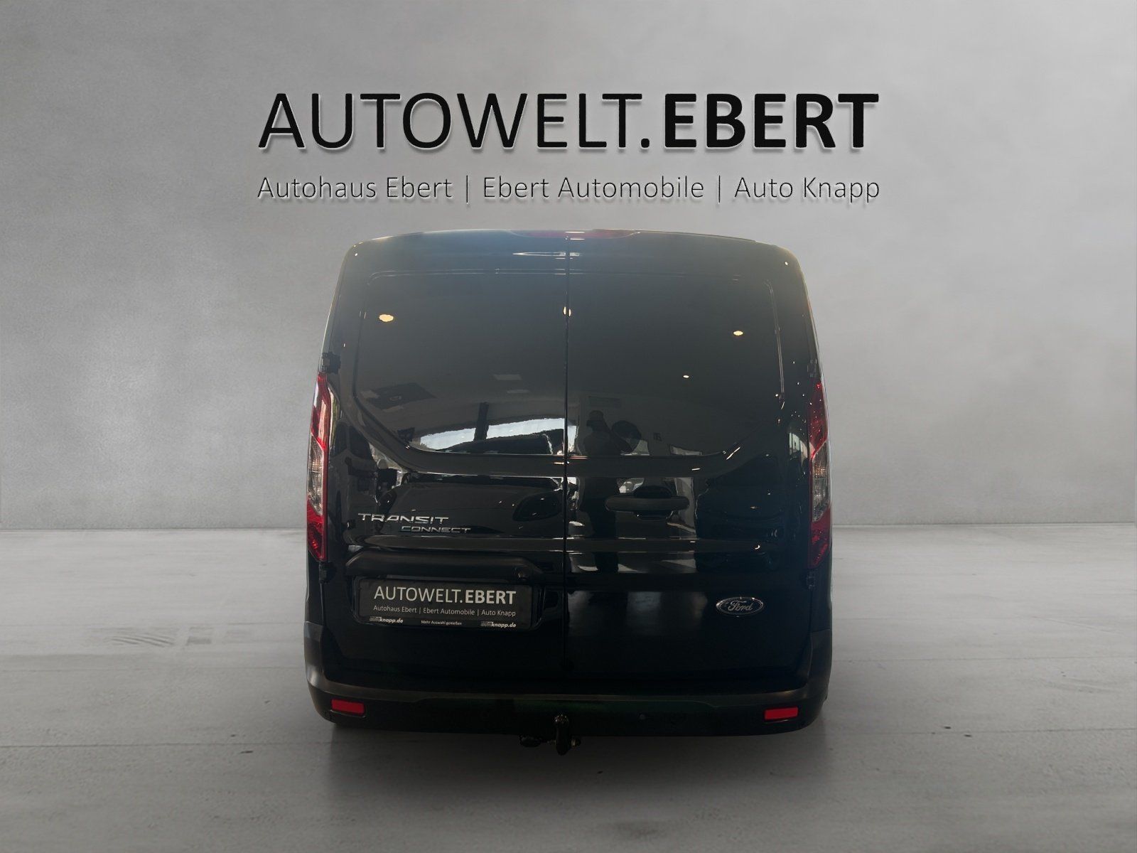 Fahrzeugabbildung Ford FORD Transit Connect 210 L2 S&S