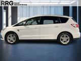 Ford S-Max 2.0 EcoBlue Trend AHK Winterpaket Privacy  - Ford S-Max Gebrauchtwagen in Hamburg