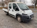 Fiat Ducato - Fiat Ducato aus 2009