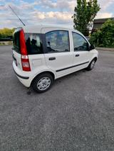 Fiat Panda - Fiat Panda Gebrauchtwagen in Wuppertal