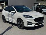 Ford Kuga 2.0 150PS Hybrid ST-Line X iLED|HUD|ACC|Wi  - Ford mit Diesel-Antrieb: 150