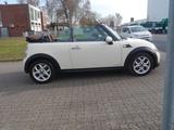 MINI COOPER Cabrio Cooper 1.6 Klima*Leder*Xenon - MINI Cooper in Hannover