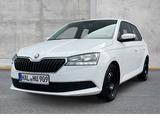 Skoda FABIA 1.0 MPI Klima DAB Sitzheizung - Skoda Fabia Gebrauchtwagen in Halle