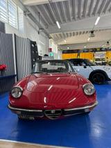 Alfa Romeo Spider 2.0 Veloce - Alfa Romeo Gebrauchtwagen von 1972
