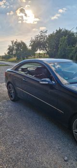 Mercedes-Benz CLK 320  // AMG Paket // Sportfahrwerk // - Mercedes-Benz: Clk AMG Paket