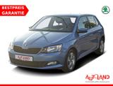 Skoda Fabia 1.2 Klima Sitzheizung Einparkhilfe - Skoda Fabia mit Benzin-Antrieb: Kleinwagen