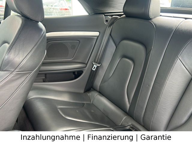 Bild 19