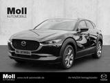 Mazda CX-30 Exclusive-Line 2WD Exclusive 2.0L e-SKYACT - Mazda CX-30 Tageszulassungen
