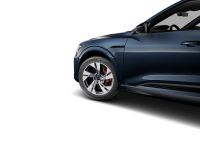 Audi Q8 e-tron - Vorschau Bild 4
