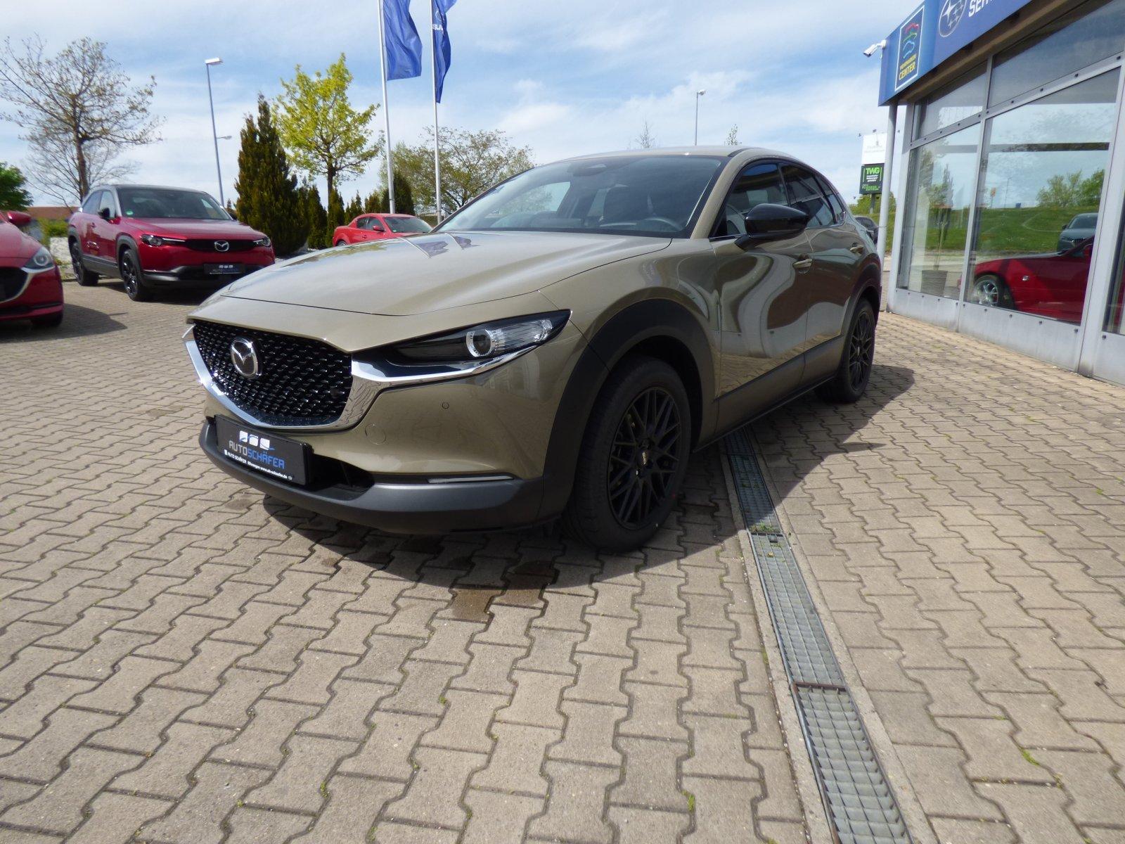Mazda CX-30 2,5 e-SKYACTIV-G 140 M Hybrid Homura, Navi