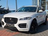 Jaguar F-PACE R-Sport AWD 4x4 Sitzh. MOTOR NEU!!! - gebrauchte Jaguar F-Pace aus dem Jahr 2016