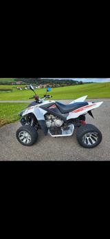 Adly Quad Adly 320S - Offers matching your search criteria