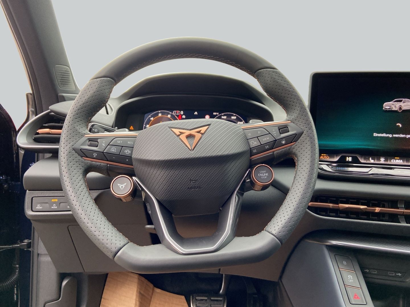 Cupra Terramar - Bild 9