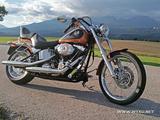 Harley-Davidson  FXSTC Softail Custom 105th Anniversary - Harley-Davidson FXST-F