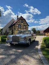 Mercedes-Benz Oldtimer Mercedes 250 S (W108) - Mercedes-Benz Gebrauchtwagen von 1967