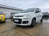 Fiat Panda 1.2 Young - Fiat Panda Young mit Benzin-Antrieb