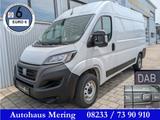 Fiat Ducato 3,3t 120PS PDC Tempo L2H2 *Schnäppchen* - : Schnäppchen