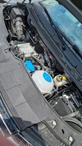 Volkswagen T6 California - Volkswagen T6 California aus 2022
