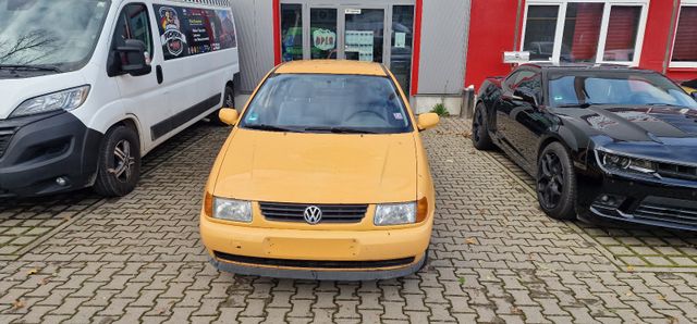 Volkswagen Polo Fox