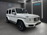Mercedes-Benz G 500 Final Edition LEDER+AHK+BURMESTER+STANDHZG - Mercedes-Benz G 500 aus 2024