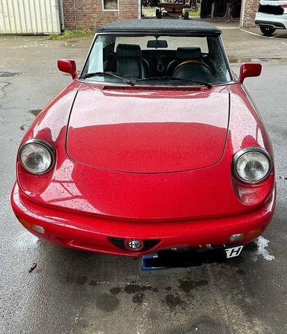 Alfa Romeo Spider 115