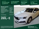 Skoda Octavia Combi 1.0 TSI First Edition DSG*LED*NAV* - Skoda Octavia: Dsg