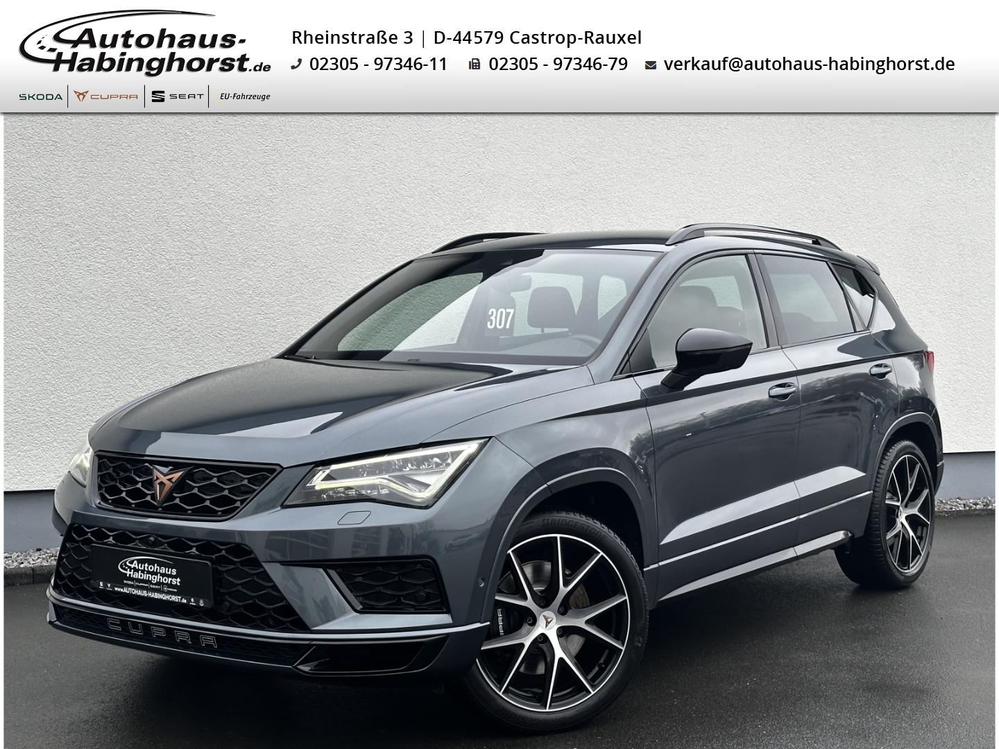 Cupra Ateca 2.0 TSI 4x4 DSG TopView ACC DCC Shz Kessy 