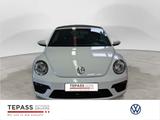 Volkswagen Beetle Cabriolet 1.2 TSi KLIMA PDC KOMFORT - Volkswagen Beetle in Essen