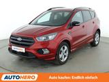 Ford 2.0 TDCi ST-Line Aut.*NAV*XENON*ACC*CAM*PDC*SHZ* - Ford Kuga ST-Line mit Diesel-Antrieb